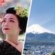 В Японии хотят допустить иностранных туристов на цветение сакуры