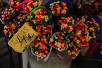 Испания - очень понравились цветы-звездочки на Рамблас
