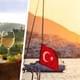 Российский турист в Турции решил насладиться местным вином и вылил всю бутылку в унитаз со словами: «Бормотуха»