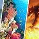 Выкипает морская вода и гибнут кораллы: на Пхукете закрыли остров из-за аномальной температуры моря