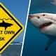 На популярном курорте Средиземноморья начался переполох из-за громадной акулы