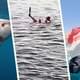 У берегов Хургады замечена гигантская акула: туристам рекомендовано держатся подальше