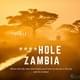 «Приезжайте в сраную дыру!» - Замбия пригласила туристов словами Трампа