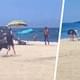 Дикий бык нападает на туриста прямо на популярном пляже: попытка подкупить его едой не удалась
