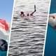 Челюсти в Хургаде: на глазах у десятков россиян акула растерзала туристку