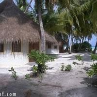отель Vilu Reef Beach (Мале)
