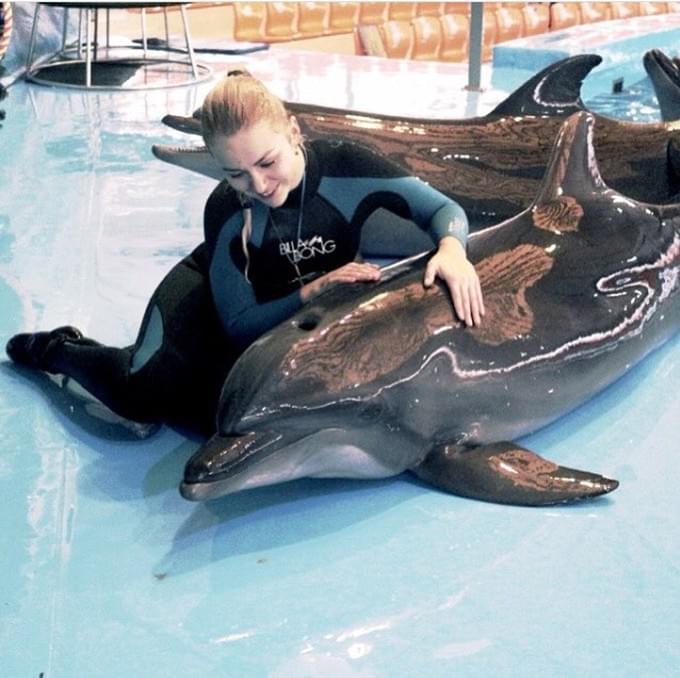 Россия - дельфинарий
