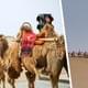 Туристов настолько много, что для туристических караванов на верблюдах установили в пустыне светофор, иначе возникают верблюжьи пробки
