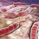 Роспотребнадзор предупредил туристов о вспышке холеры в 26-ти странах