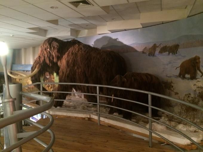 Россия - Единственный в мире Музей мамонта в Якутске.