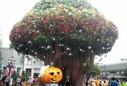 <p>Хэллоуин в Эверлэнде</p> Фото 56647 Сеула, Южная Корея