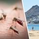 Страшная болезнь продолжает косить туристов в трех популярных у россиян странах: туристка отправилась в отпуск и по возвращении чуть не умерла из-за укуса комара