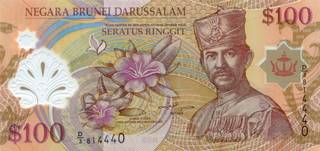 100 брунейских долларов