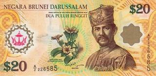 20 брунейских долларов