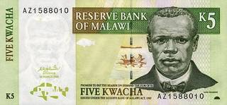 5 малавийских квач