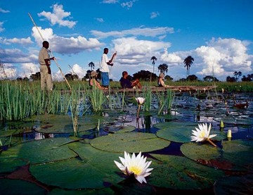 Ботсвана просит придать Дельте Окаванго статус мирового наследия ЮНЕСКО