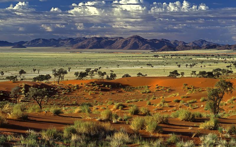 Из Намибии вывезли 74-летнего российского туриста-охотника