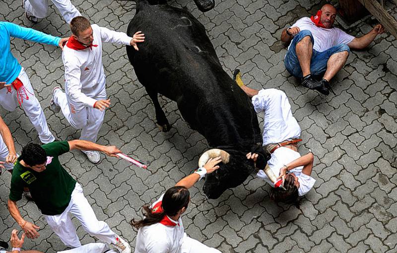 В Испании бык убил туриста во время селфи