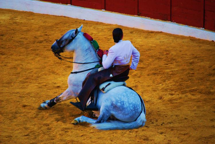 Испания - На фото: и вот сейчас, похоже лошадь сильно ранена...