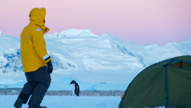 Антарктида - Активные приключения в Антарктиде
