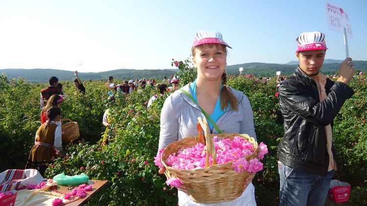 Болгария - ежегодный фестиваль роз, г. Казанлык