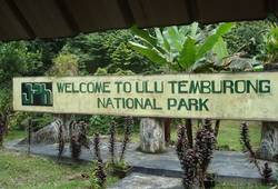 <p>National park «Ulu Temburong»</p>. Фото , Бруней
