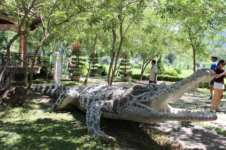 Крокодилья ферма Yang Bay