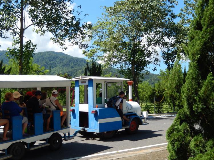 Экскурсионные группы по парку Янг-Бей возит специальный паровозик