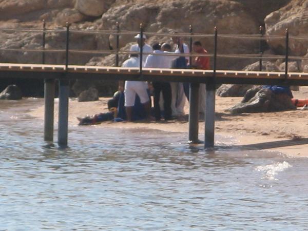 В Шарм Эль Шейхе акула убила немецкую туристку