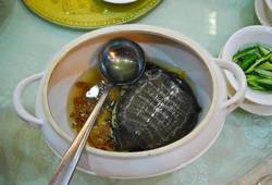 <p>Черепаховый суп - вкусный.</p>. Фото , Китай