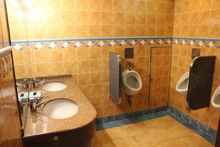 Греция - Общественный туалет в главном холле на Costa Magica.