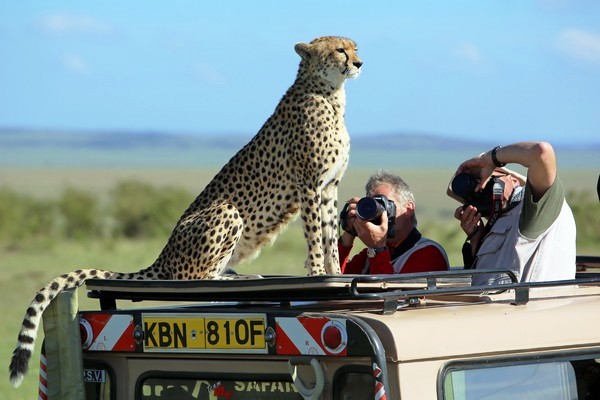 West-line Travel провел рекламный тур в Кению