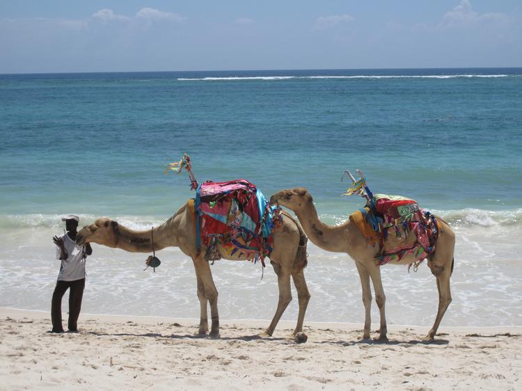 Кения: дикая саванна и теплый океан.