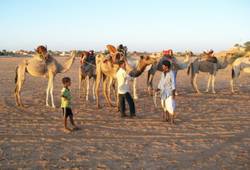 . Фото , Мавритания