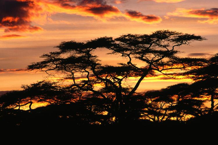 Танзания - Танзания - рай для любителей контрастов