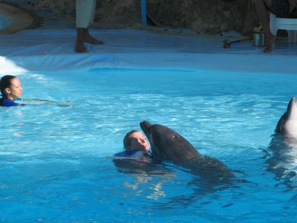 Египет - Дельфинарий в Шарм эль Шейхе