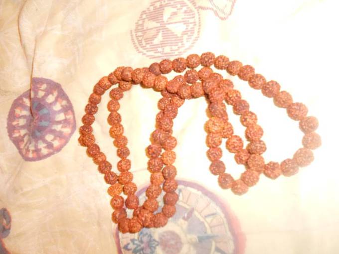 Сувениры из Гоа, Индия. Рудракша  - дословно "Слеза рудры", чрезвычайно почитается в индуизме и приносит блага при правильном обращении. 