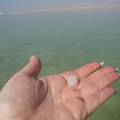 Сувениры из , Израиль. соль Мервого моря