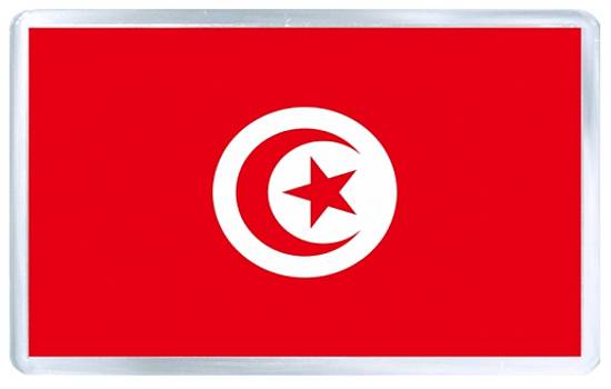 Сувениры из Хаммамета, Тунис. Сувенир из Туниса в виде магнита на холодильник, изображающего тунисский флаг.
