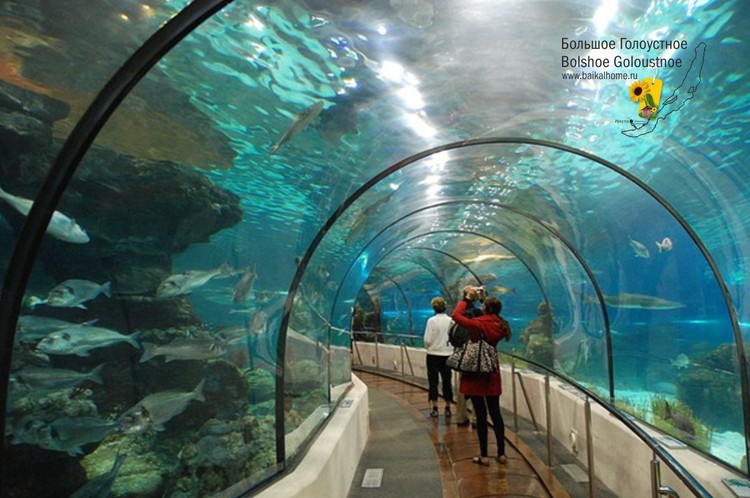 Россия - Лимнологический музей. Тоннель под водой