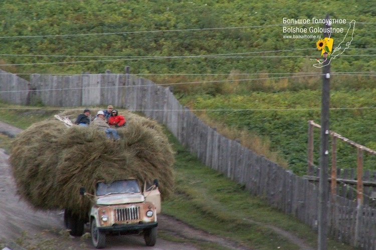 Россия - С сенокоса / Теперь мы вчетверо больше сена для нашей коровки запасли