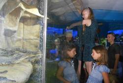 Алуштинский аквариум-террариум - , Виталина Носикова. кормление крокодильчиков
