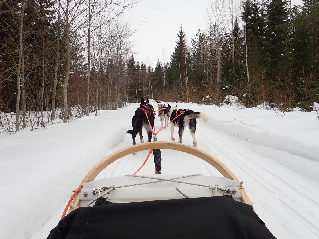 Финляндия - Зимний отдых в Вуокатти