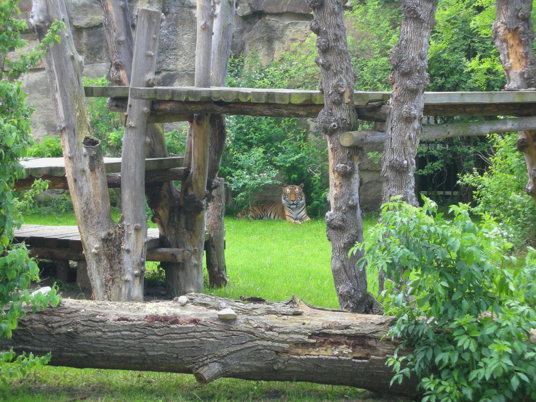 Чехия - Пражский зоопарк