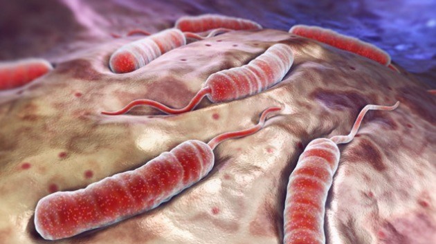 Роспотребнадзор предупредил туристов о вспышке холеры в 26-ти странах