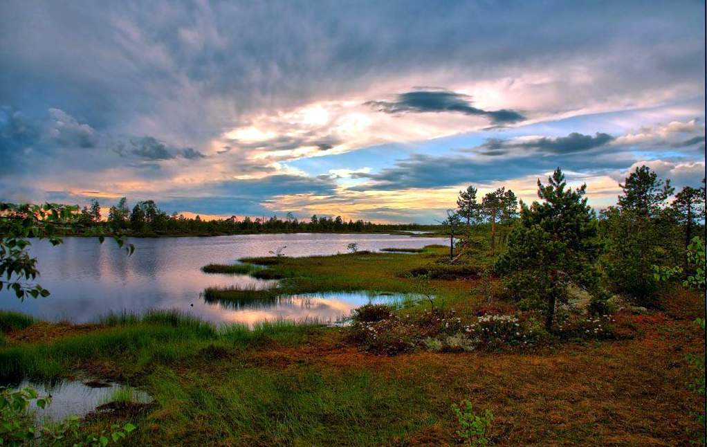 Назван ТОП-5 самых экологических туристических объектов в России