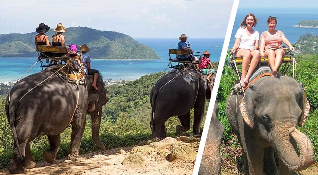 В Камбодже слона до смерти заездили туристы