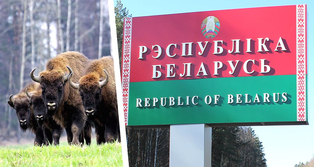 Белоруссию готовят к открытию для российских туристов