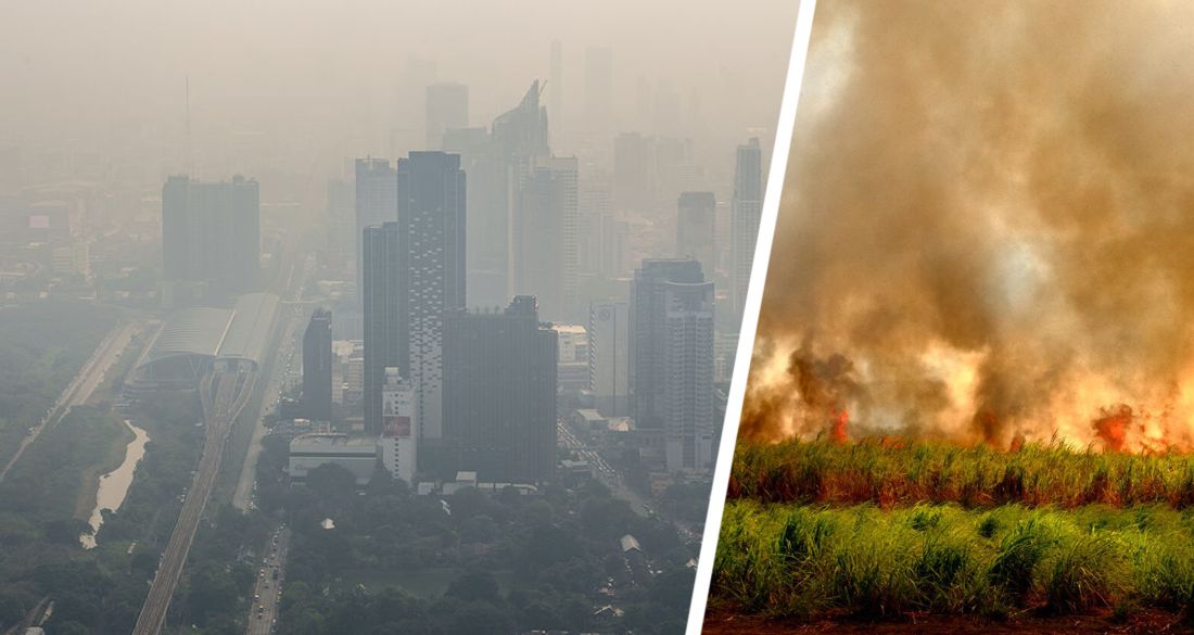 На Бангкок и Паттайю надвигается дым от больших пожаров