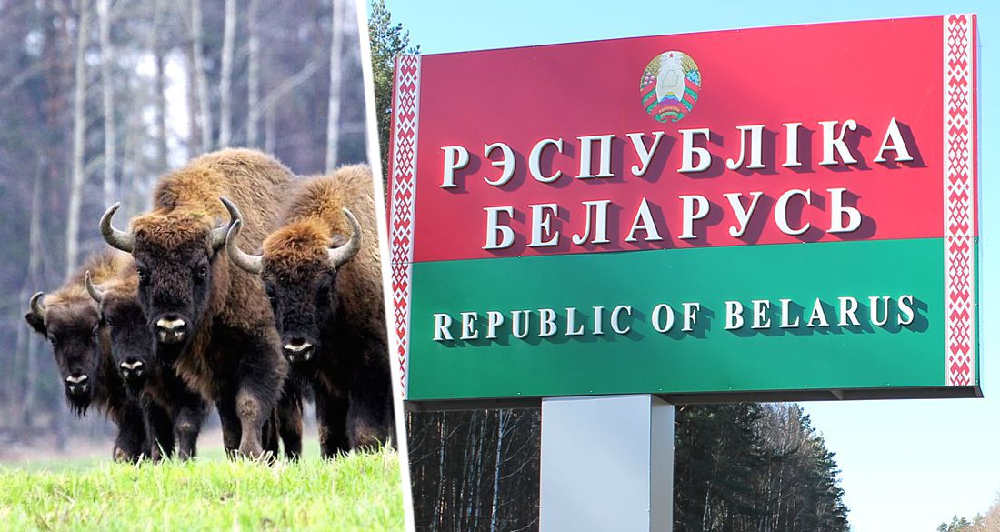 Белоруссия объявила, что ее санатории для российских туристов обойдутся на 20% дешевле, чем в РФ